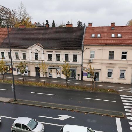 Apartment Trzaska With Free Parking Ljubljana Bagian luar foto