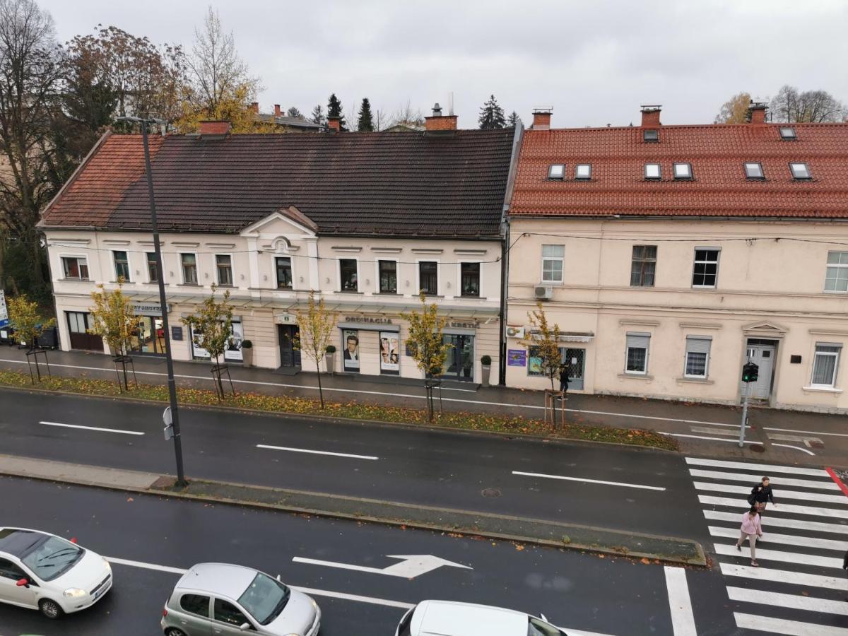 Apartment Trzaska With Free Parking Ljubljana Bagian luar foto